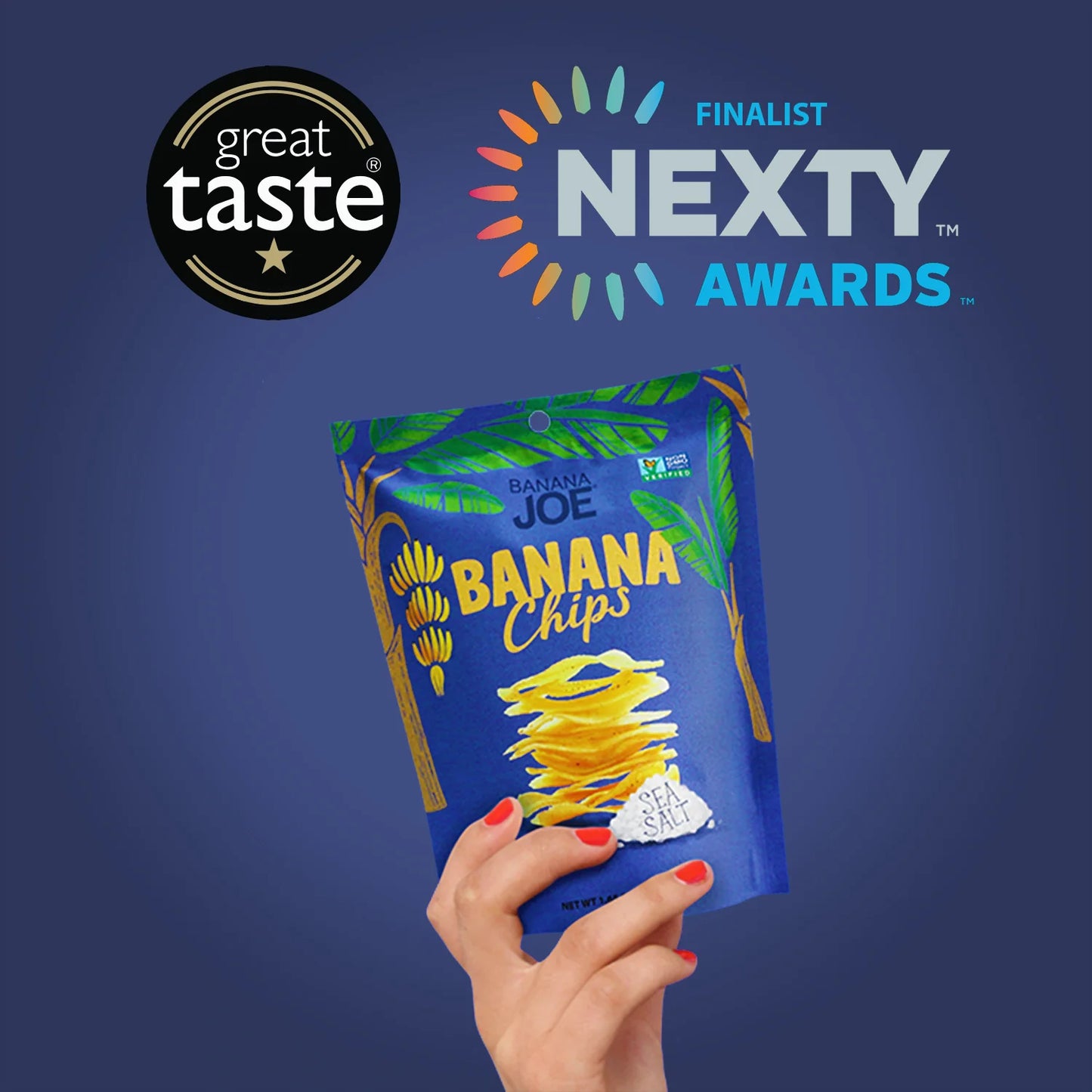 Sea Salt Flavored Banana Chips (Pack of 6)
