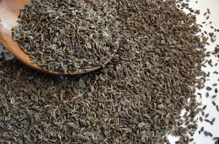 Dill Seeds