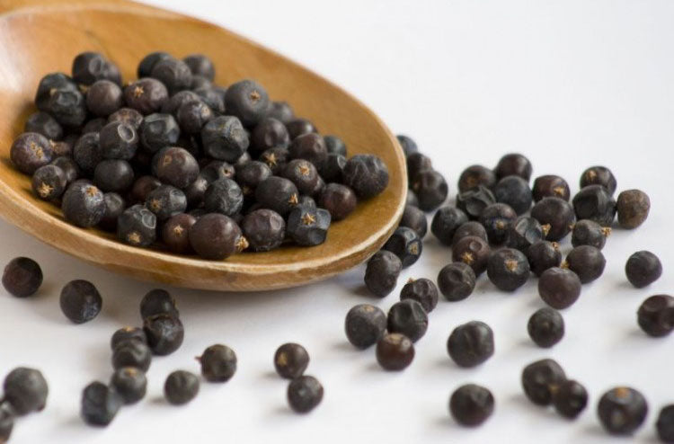 Juniper Berry