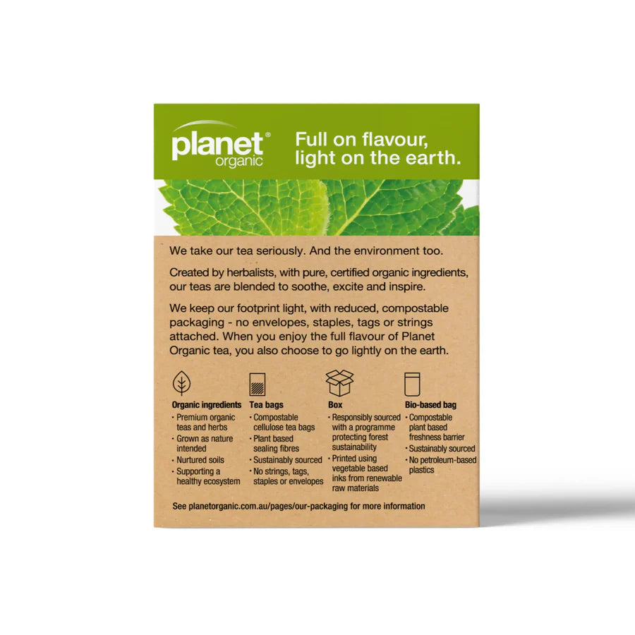 Healing Concepts Organic Spearmint Tea 40g (Single Box)