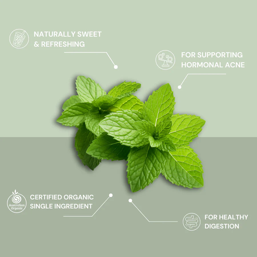 Healing Concepts Organic Spearmint Tea 40g (Single Box)