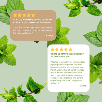 Healing Concepts Organic Spearmint Tea 40g (Single Box)