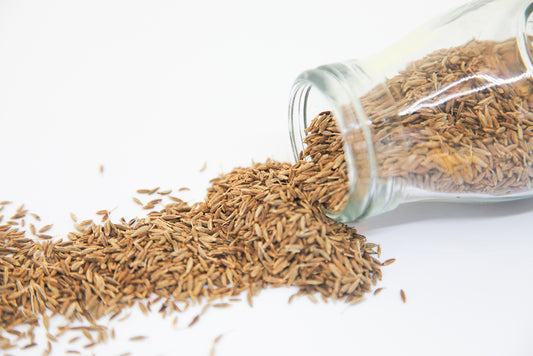 Cumin Seeds