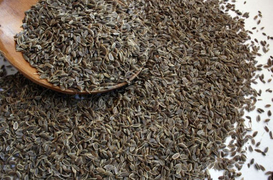 Dill Seeds