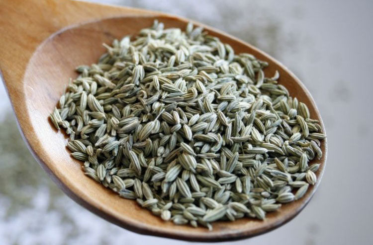 Fennel Seeds