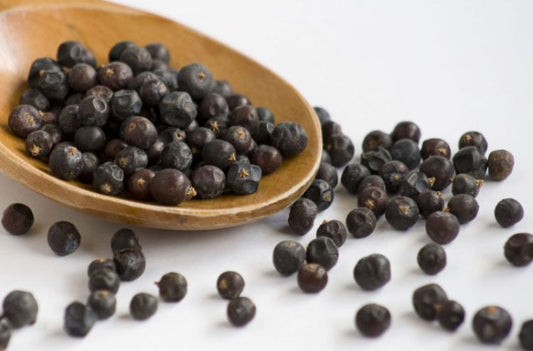 Juniper Berry