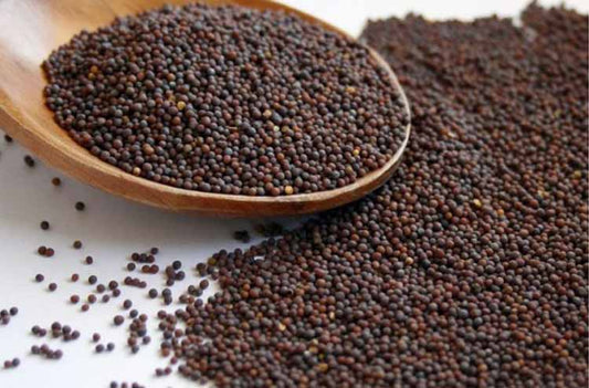 Mustard Seeds Brown